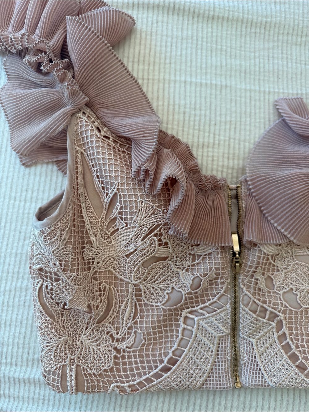 Alice McCall ‘Signed Sealed’ Ruffle Lace Top in Blush - Picture 10 of 11